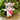Viral Meme Cat - Crochet Plush Toy